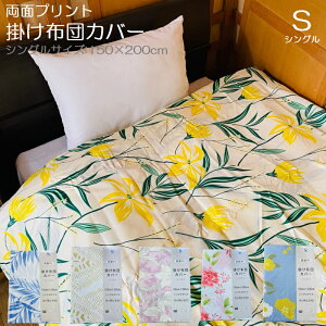 ʃvg |zcJo[ VO 150×200cm |GXe  ԂƂ ӂƂ Q