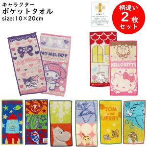 ~j^I 2 Zbg g nJ` ^I |Pbg^I 10×20cm 100 hJ ۉH |Pbg LN^[ ̎q j̎q TI fBYj[ [~