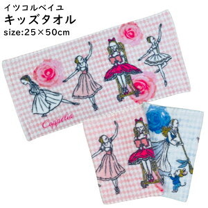 CcRxCoG ~jtFCX^I LbY^I 25×50cm oG  킢  v[g LO 