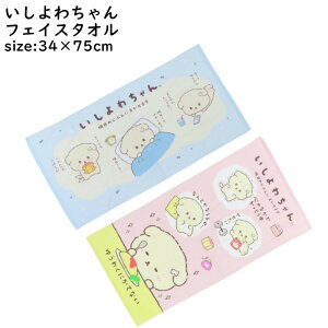 tFCX^I LN^[ 34×75cm 100 킿 san-x V[O pC  vg ^I TGbNX ^I Rbg