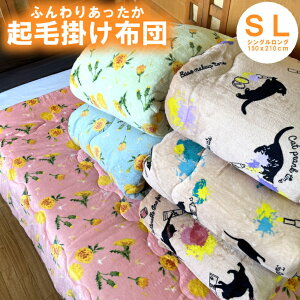 |zc N SL VOO 150x210cm ʃvg ӂӂ   g ~p H ~ h |zc C y VO