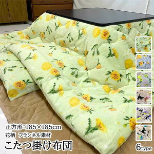 zc ` 185×185cm tl N ʃvg ԕ lR sN u[ O[ ȓ  zc  킢