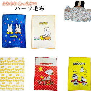 プリンセス タオルケットの人気商品 通販 価格比較 価格 Com