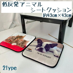 シートクッション 動物柄 43×43cm 犬 ドッグ キャット 猫 アニマル フレンチブルドック 白 暖ったか 車 カークッション カーアクセサリー オフィスクッション 応接間 ソファー ダイニングテー