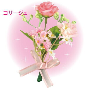 RT[WEu[PZbg A[ebN 85044 p[eB j a nEB NX}X Cxg