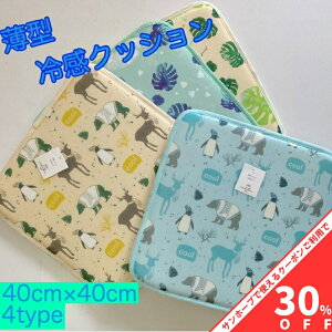 yBLACK FRIDAY30%OFFN[|z^⊴NbV 40×40cm Xe Aj} u[ CG[ pXe u₩  ^   J[NbV J[ANZT[ ڊ \t