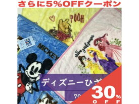 【30%OFF★6/11まで】ひざかけ ディズニー キャラクター 70cm×100cm ニューマイヤー ひざ掛け クォーターケット ブランケット ふんわり あったか【選べる3柄】ミッキー ディズニープリンセス くまのプーさん Mickey Princess Pooh