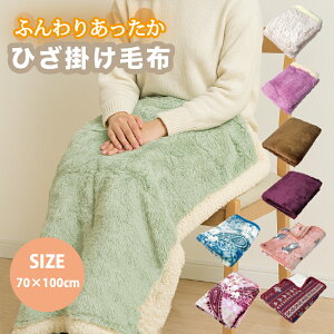 yƌv10%OFFzЂ| ѕz uPbg 70x100cm QPbg NH[^[ Pbg LbY xr[ tl ӂӂ Q q k mfBbN lR L n Vv  