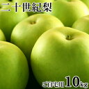 梨 二十世紀梨（20世紀梨）10kg詰（32玉前後入） 鳥取県産 なし 訳あり（ご自宅用） 送料無料（北海道・沖縄を除く）