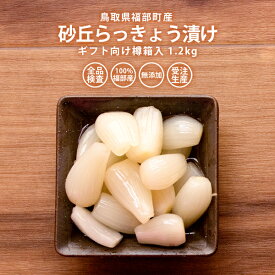 砂丘らっきょう漬け 鳥取県福部町産 ギフト向け樽箱入1.2kg 無添加 国産 らっきょう 鳥取 お取り寄せ 送料無料