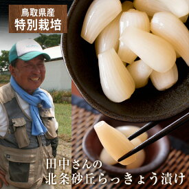 鳥取県産 特別栽培 田中さんの北条砂丘らっきょう漬け220g（新物らくだらっきょう） らっきょう 鳥取 お取り寄せ 送料無料