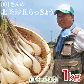 鳥取県産 特別栽培 田中さんの北条砂丘らっきょう1kg（根付き土付き 玉らっきょう 国産） らっきょう 鳥取 お取り寄せ 送料無料