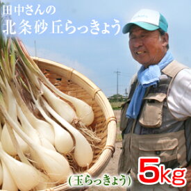 鳥取県産 特別栽培 田中さんの北条砂丘らっきょう5kg（根付き土付き 玉らっきょう 国産） らっきょう 鳥取 お取り寄せ 送料無料