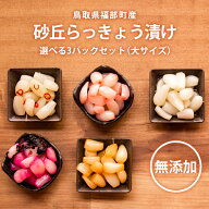 砂丘らっきょう漬け 鳥取県福部町産 選べる3パックセット（大サイズ） 無添加 国産 らっきょう 鳥取 お取…