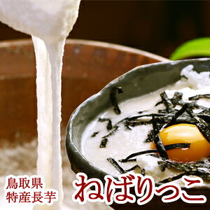 挧khY úu˂΂v2kgi2`3{j p ikCEj