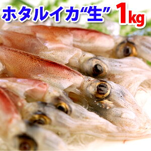 タコ 冷凍 生の人気商品 通販 価格比較 価格 Com