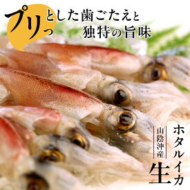 ホタルイカ 冷凍 生 生食 刺身 750g（150g×5パック）〜1.5kg（150g×10パック） 小分け 日本海産 ほたるいか しゃぶしゃぶ 送料無料（北海道・沖縄を除く）