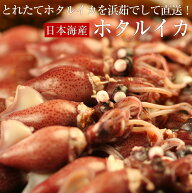 ホタルイカ（浜茹で）約1kg（約250g×4パック）〜 約2kg（約250g×8パック） 日本海産 ほたるいか 蛍烏賊…