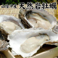 天然岩牡蠣1kgセット（5個前後入） 山陰沖産 送料無料（北海道・沖縄を除く） 風味絶佳.山陰