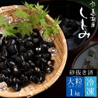冷凍しじみ1kg（大粒） 宍道湖産 砂抜き済 送料無料（北海道・沖縄を除く） 風味絶佳.山陰