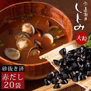 ȑ嗱ݏ`20܁iԂ݂j ΎY X` ikCEj