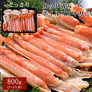 {CYCKj Jbgς800gi2`3lOj n[t|[V  Jj I Ε Mtg Ε ikCEj