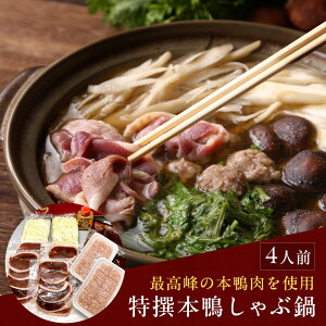 I{ԓ4lOi݂E[tj  Zbg  Mtg Ε Mtg Ε ikCEj