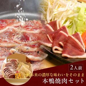 {ēZbg2lOiĂΕtj Mtg Ε Mtg Ε ikCEj