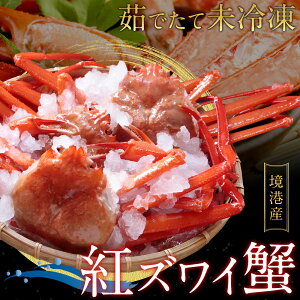 y䥂łĖⓀŒzE`Y gl䥂Łh gYCKjixjYCKj/ׂɂ킢Ɂj 󂠂 1`2kgZbgi2`5j p  Jj I ikCEj