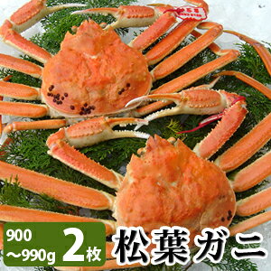 t900gȏiTCYj×2 {CY Ⓚ ΕMtg ikCEj