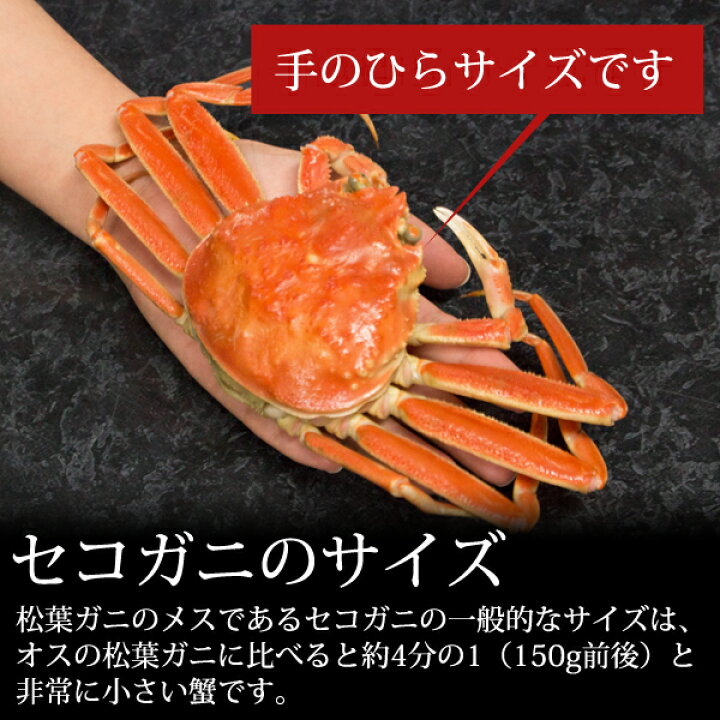 楽天市場】【返金保証付】セコガニ(親がに/せいこがに/せこがに)約1kg詰(5〜8枚入) 訳あり 日本海産 未冷凍 かに カニ 蟹 送料無料(北海道・沖縄を除く) : パーソナルギフト 風味絶佳.山陰 楽天市場】【返金保証付】セコガニ(親がに/せいこがに/せこがに)約1kg詰(5〜8枚入) 訳あり 日本海産 未冷凍 かに カニ 蟹 送料無料(北海道・沖縄を除く) : パーソナルギフト 風味絶佳.山陰