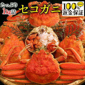 【楽天総合1位★レビュー4,600件突破】【返金保証付】セコガニ（親がに/せいこがに/せこがに）約1kg詰（5〜8枚入） 訳あり 日本海産 未冷凍 かに カニ 蟹 送料無料（北海道・沖縄を除く）
