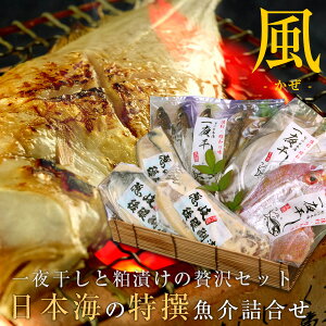 yő2,000~OFFN[|9/4 20~z{C̓lij  Ђ 6ވȏ C~ Mtg ikCEj