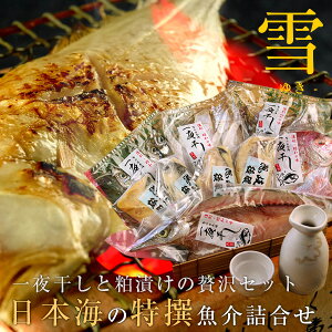 {C̓lij  Ђ 8ވȏ C~ Mtg ikCEj