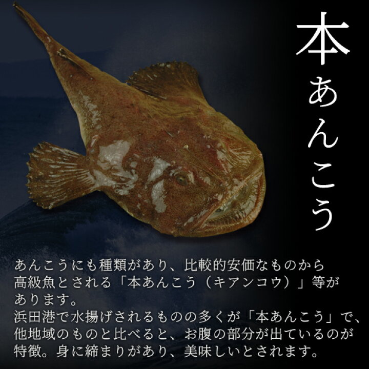 楽天市場 あんこう鍋セット あん肝100g 味噌スープ付き 2 3人前 島根県浜田産 鮟鱇 アンコウ どぶ汁鍋 送料無料 北海道 沖縄を除く パーソナルギフト 風味絶佳 山陰 楽天市場 あんこう鍋セット あん肝100g 味噌スープ付き 2 3人前 島根県浜田産 鮟鱇 アンコウ どぶ汁鍋 送料無料 北海道 沖縄を除く パーソナルギフト 風味絶佳 山陰