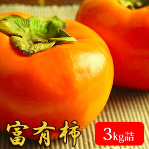 xL`3kgli14ʓj 挧Y ԏG ikCEj