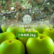 広岡農場の二十世紀梨（20世紀梨）2kg詰（5〜7玉入） 鳥取県産 梨 なし 訳あり（ご自宅用） 送料無料（北…