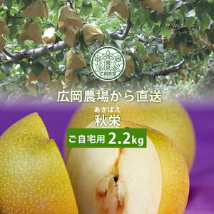 yő2,000~OFFN[|9/4 20~zL_̏Hhi΂j 2.2kgli5`7ʓj 挧Y  Ȃ 󂠂ipj \IƍK̊|킹 ikCE