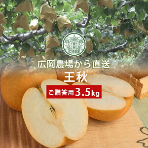 L_̉HiイȂj3.5kgli4`6ʓj 挧Y  Ȃ ԏGipj Ε Mtg ikCEj