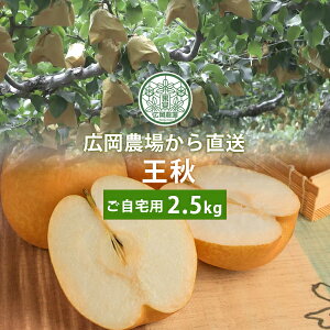 L_̉HiイȂj2.5kgli3`5ʓj 挧Y  Ȃ 󂠂ipj ikCEj