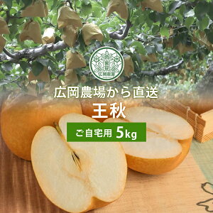 L_̉HiイȂj5kgli6`10ʓj 挧Y  Ȃ 󂠂ipj ikCEj