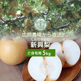 広岡農場の新興（しんこう）梨 5kg詰（8〜14玉入） 鳥取県産 なし 訳あり（ご自宅用） 送料無料（北海道・沖縄を除く）