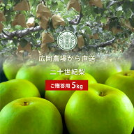 広岡農場の二十世紀梨（20世紀梨）5kg詰（9〜15玉入） 鳥取県産 梨 なし 赤秀（ご贈答用） 送料無料（北…