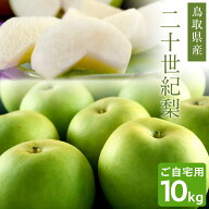 梨 二十世紀梨（20世紀梨）10kg詰（32玉前後入） 鳥取県産 なし 訳あり（ご自宅用） 送料無料（北海道・…