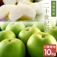 二十世紀梨（20世紀梨）10kg詰（28玉前後入） 鳥取県産 梨 なし 赤秀（ご贈答用） 送料無料（北海道・沖…