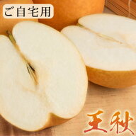 王秋梨（おうしゅうなし）5kg詰（5〜12玉入） 鳥取県産 梨 なし 訳あり（ご自宅用） 送料無料（北海道・…