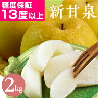 【楽天1位★高評価4.77】光センサー糖度13度以上保証 新甘泉（しんかんせん） 梨 2kg詰（5〜6玉入） 鳥取…