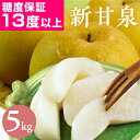 【楽天1位★高評価4.79】光センサー糖度13度以上保証 新甘泉（しんかんせん） 梨 5kg詰（8〜14玉入） 鳥取県産 なし …
