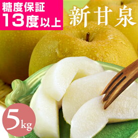 【楽天1位★高評価4.79】光センサー糖度13度以上保証 新甘泉（しんかんせん） 梨 5kg詰（8〜14玉入） 鳥取県産 なし 新甘泉梨 2025 赤秀 送料無料（北海道・沖縄を除く）