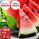 大栄すいか7kg前後（大玉サイズ）×1玉 鳥取県産 ご贈答用大栄スイカ お中元 ギフト 送料無料（北海道・沖縄を除く）